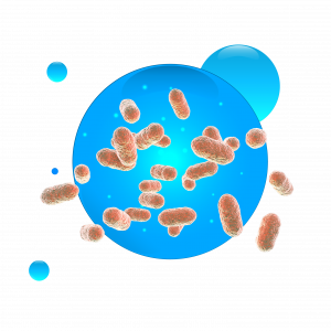 Dokáže črevná mikroflóra kvitnúť?